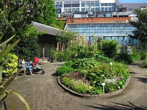 plantentuin den botaniek|Botanical Garden, Antwerp